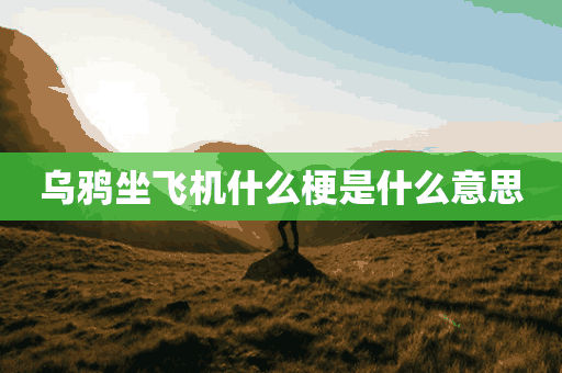 乌鸦坐飞机什么梗是什么意思